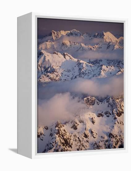 Olympic Mountain Range, Olympic National Park, UNESCO World Heritage Site, Washington State, USA-Colin Brynn-Framed Premier Image Canvas