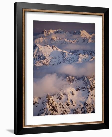 Olympic Mountain Range, Olympic National Park, UNESCO World Heritage Site, Washington State, USA-Colin Brynn-Framed Photographic Print