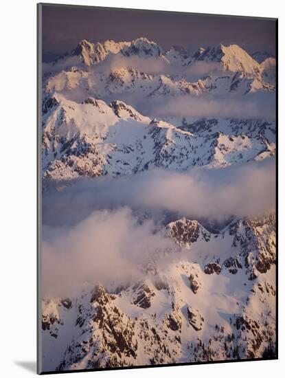 Olympic Mountain Range, Olympic National Park, UNESCO World Heritage Site, Washington State, USA-Colin Brynn-Mounted Photographic Print