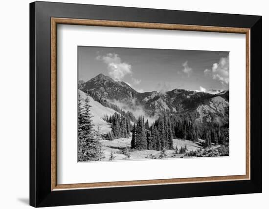 Olympic Mountains I-Laura Marshall-Framed Photographic Print