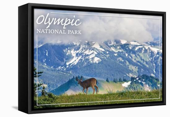 Olympic National Park - Deer and Hurricane Ridge-Lantern Press-Framed Stretched Canvas