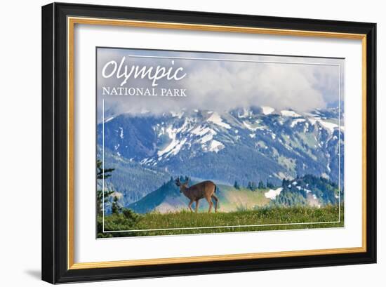 Olympic National Park - Deer and Hurricane Ridge-Lantern Press-Framed Art Print