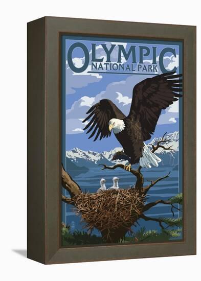 Olympic National Park - Eagle and Chicks-Lantern Press-Framed Stretched Canvas