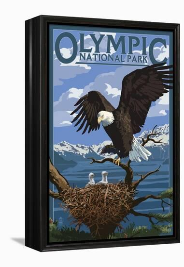 Olympic National Park - Eagle and Chicks-Lantern Press-Framed Stretched Canvas