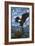 Olympic National Park - Eagle and Chicks-Lantern Press-Framed Art Print