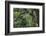 Olympic National Park, Hoh River Valley-Ken Archer-Framed Photographic Print