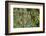 Olympic National Park, Hoh River Valley-Ken Archer-Framed Photographic Print