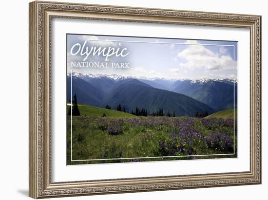 Olympic National Park - Hurricane Ridge and Flowers-Lantern Press-Framed Art Print