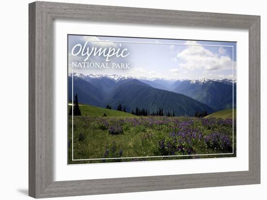 Olympic National Park - Hurricane Ridge and Flowers-Lantern Press-Framed Art Print