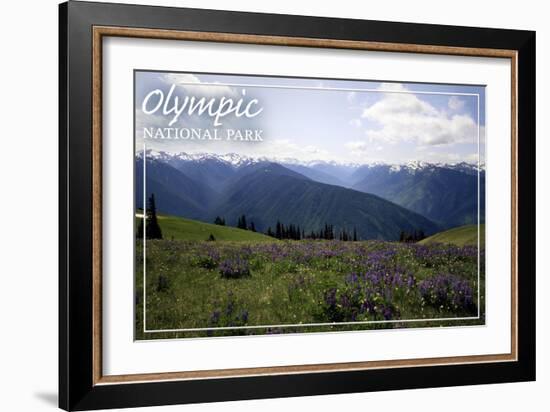 Olympic National Park - Hurricane Ridge and Flowers-Lantern Press-Framed Art Print