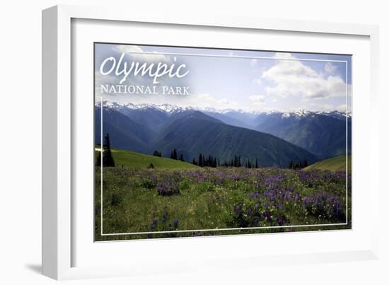 Olympic National Park - Hurricane Ridge and Flowers-Lantern Press-Framed Art Print