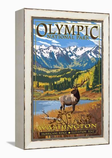 Olympic National Park - Hurricane Ridge-Lantern Press-Framed Stretched Canvas