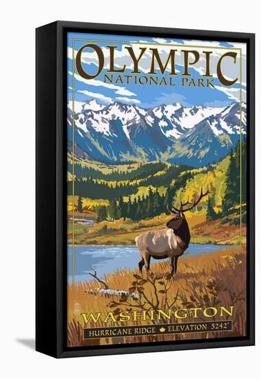 Olympic National Park - Hurricane Ridge-Lantern Press-Framed Stretched Canvas