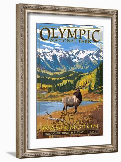 Olympic National Park - Hurricane Ridge-Lantern Press-Framed Art Print