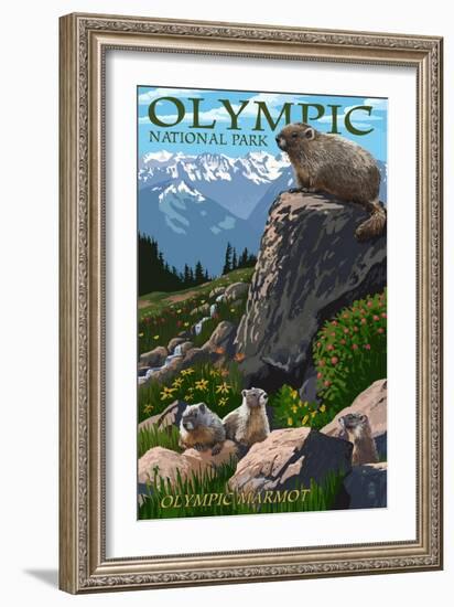Olympic National Park - Marmots-Lantern Press-Framed Art Print