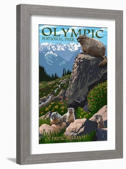 Olympic National Park - Marmots-Lantern Press-Framed Art Print