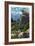 Olympic National Park - Marmots-Lantern Press-Framed Art Print