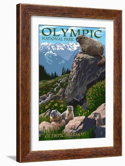 Olympic National Park - Marmots-Lantern Press-Framed Art Print