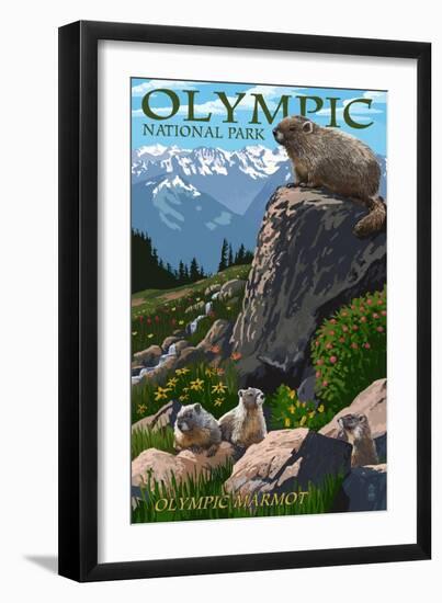 Olympic National Park - Marmots-Lantern Press-Framed Art Print