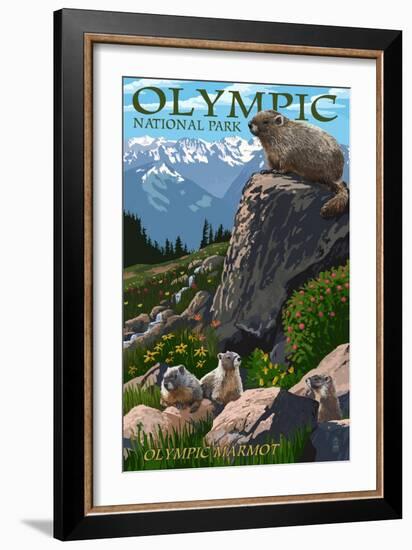 Olympic National Park - Marmots-Lantern Press-Framed Art Print