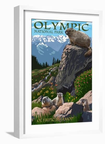 Olympic National Park - Marmots-Lantern Press-Framed Art Print