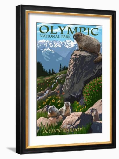 Olympic National Park - Marmots-Lantern Press-Framed Art Print