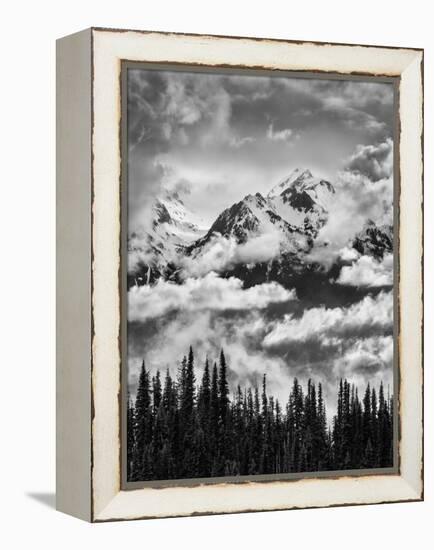 Olympic National Park, Mount Carrie and Carrie Glacier Through the Clouds from Hurricane Ridge-Ann Collins-Framed Premier Image Canvas