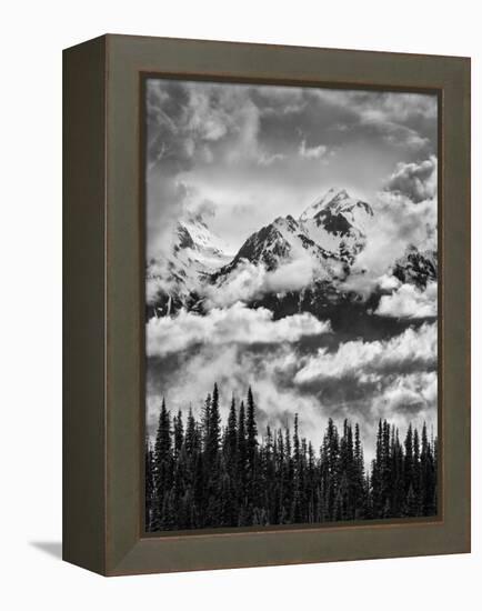Olympic National Park, Mount Carrie and Carrie Glacier Through the Clouds from Hurricane Ridge-Ann Collins-Framed Premier Image Canvas