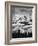 Olympic National Park, Mount Carrie and Carrie Glacier Through the Clouds from Hurricane Ridge-Ann Collins-Framed Photographic Print