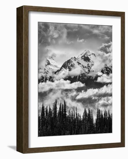 Olympic National Park, Mount Carrie and Carrie Glacier Through the Clouds from Hurricane Ridge-Ann Collins-Framed Photographic Print