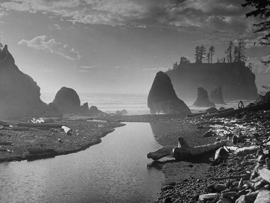 Photographic Print, , large
