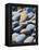 Olympic National Park, Wa: Blue and Brown Stones Found on Ruby Beach-Brad Beck-Framed Premier Image Canvas