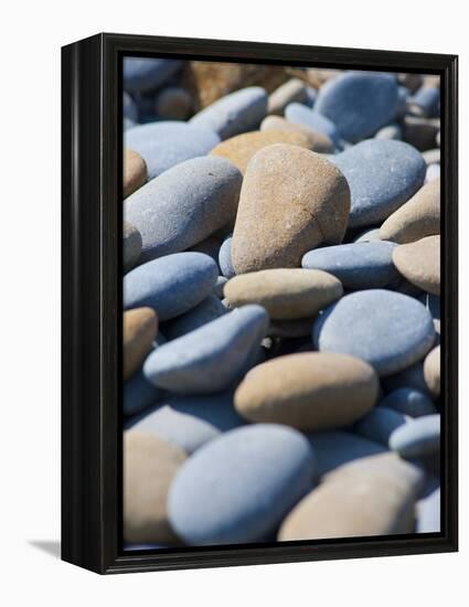 Olympic National Park, Wa: Blue and Brown Stones Found on Ruby Beach-Brad Beck-Framed Premier Image Canvas