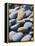 Olympic National Park, Wa: Blue and Brown Stones Found on Ruby Beach-Brad Beck-Framed Premier Image Canvas