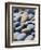 Olympic National Park, Wa: Blue and Brown Stones Found on Ruby Beach-Brad Beck-Framed Photographic Print