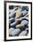 Olympic National Park, Wa: Blue and Brown Stones Found on Ruby Beach-Brad Beck-Framed Photographic Print