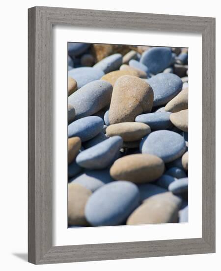 Olympic National Park, Wa: Blue and Brown Stones Found on Ruby Beach-Brad Beck-Framed Photographic Print