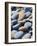 Olympic National Park, Wa: Blue and Brown Stones Found on Ruby Beach-Brad Beck-Framed Photographic Print