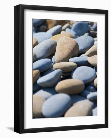 Olympic National Park, Wa: Blue and Brown Stones Found on Ruby Beach-Brad Beck-Framed Photographic Print