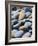 Olympic National Park, Wa: Blue and Brown Stones Found on Ruby Beach-Brad Beck-Framed Photographic Print