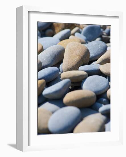 Olympic National Park, Wa: Blue and Brown Stones Found on Ruby Beach-Brad Beck-Framed Photographic Print