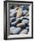 Olympic National Park, Wa: Blue and Brown Stones Found on Ruby Beach-Brad Beck-Framed Photographic Print