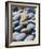 Olympic National Park, Wa: Blue and Brown Stones Found on Ruby Beach-Brad Beck-Framed Photographic Print