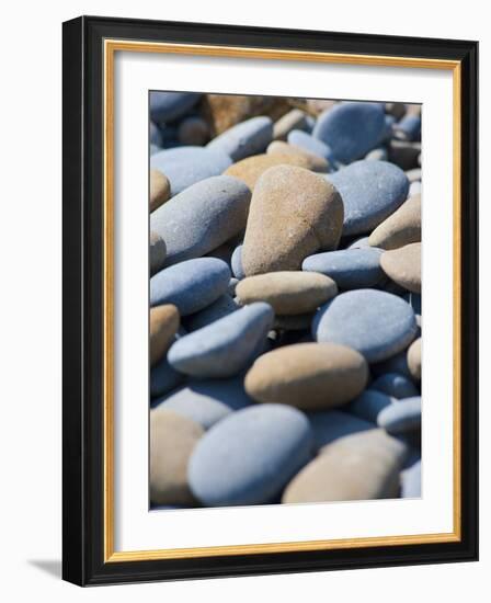 Olympic National Park, Wa: Blue and Brown Stones Found on Ruby Beach-Brad Beck-Framed Photographic Print