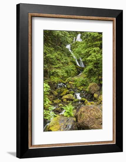 Olympic National Park, Washington. Bunch Creek Tumbling Down to the River-Michael Qualls-Framed Photographic Print