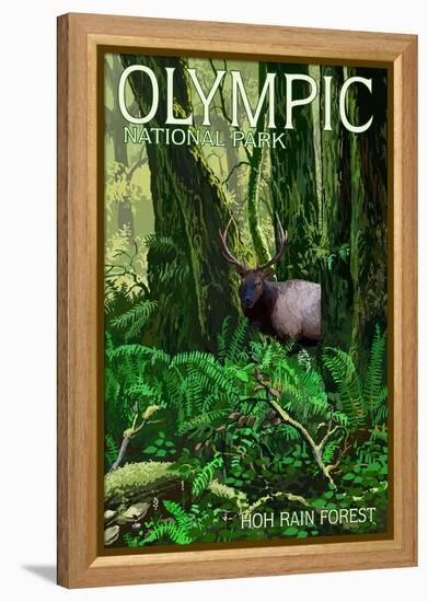 Olympic National Park, Washington - Hoh Rain Forest-Lantern Press-Framed Stretched Canvas