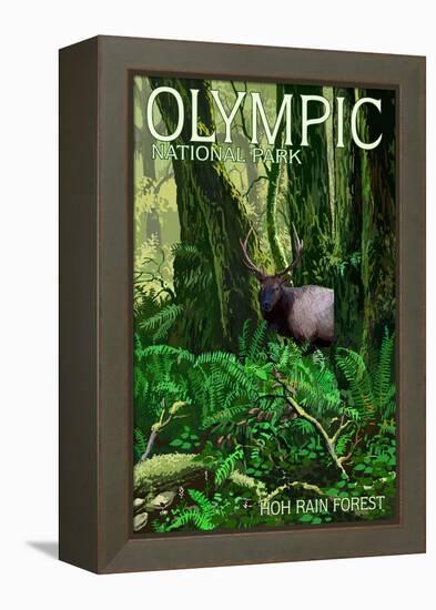 Olympic National Park, Washington - Hoh Rain Forest-Lantern Press-Framed Stretched Canvas