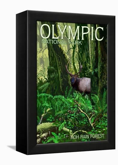 Olympic National Park, Washington - Hoh Rain Forest-Lantern Press-Framed Stretched Canvas