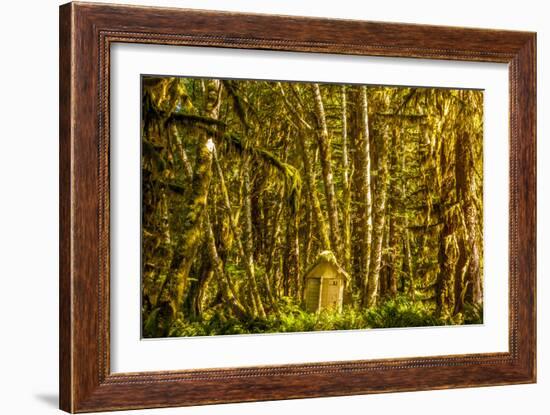 Olympic National Park, Washington: Hoh Rainforest-Ian Shive-Framed Photographic Print