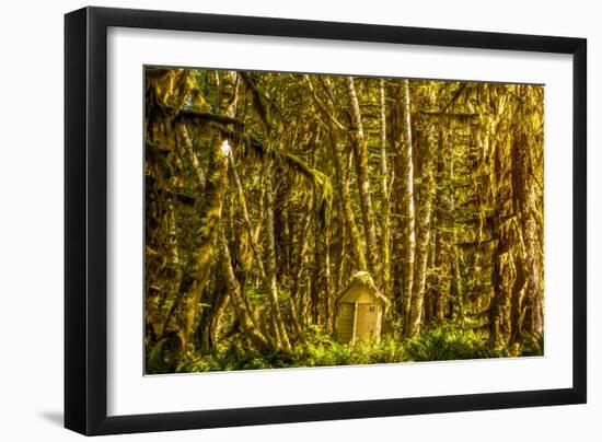 Olympic National Park, Washington: Hoh Rainforest-Ian Shive-Framed Photographic Print